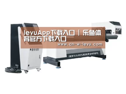 案例展示四